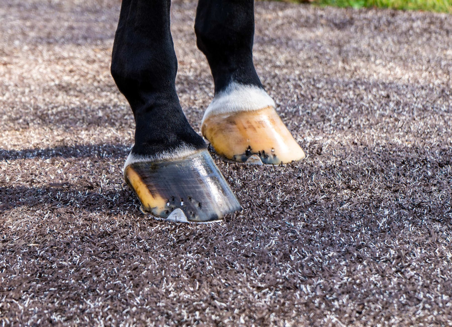 graphic of USA and canada showing their locations