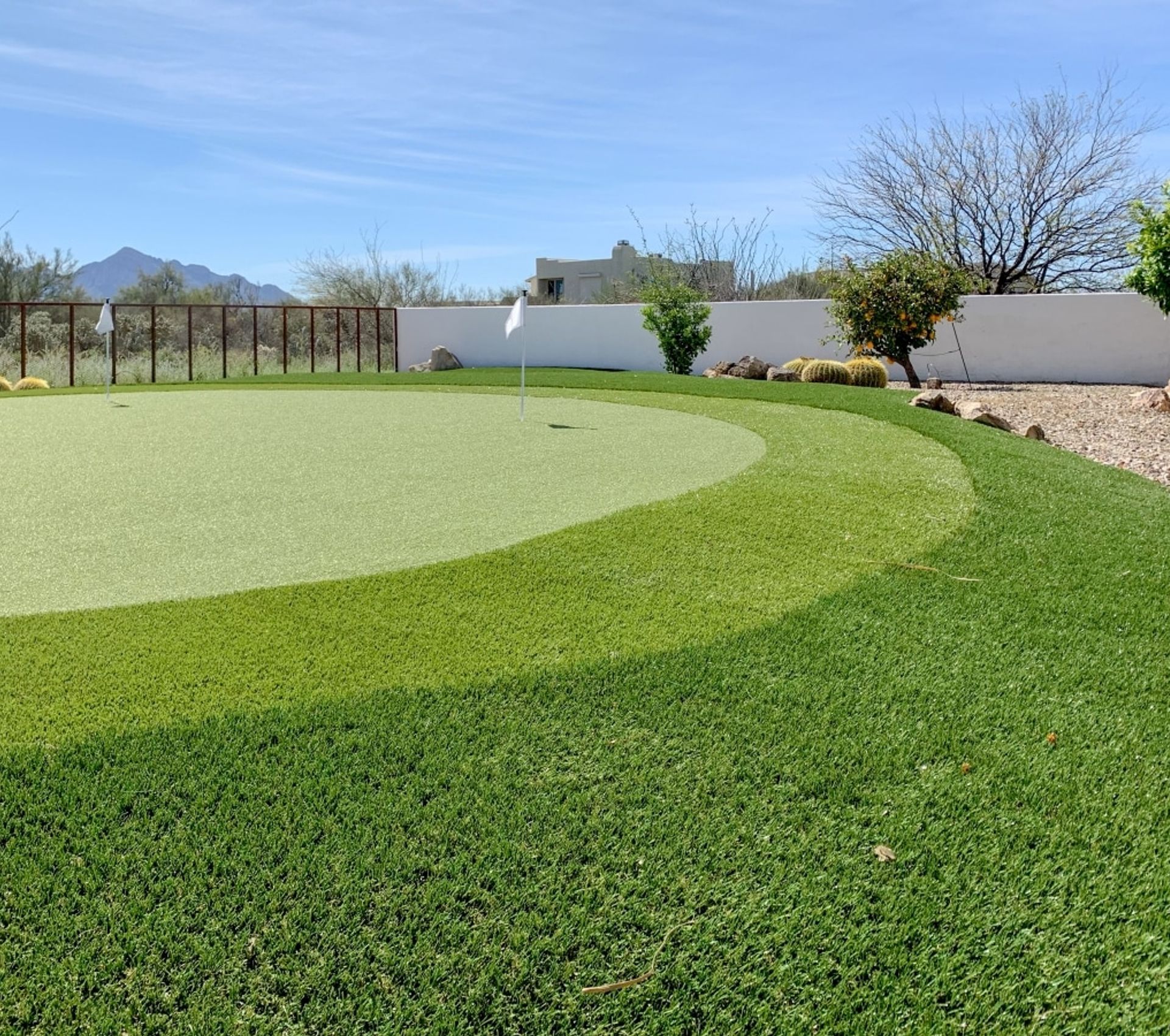 golf ball in grass
