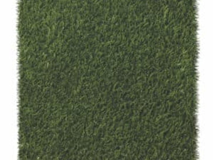 landscape turf