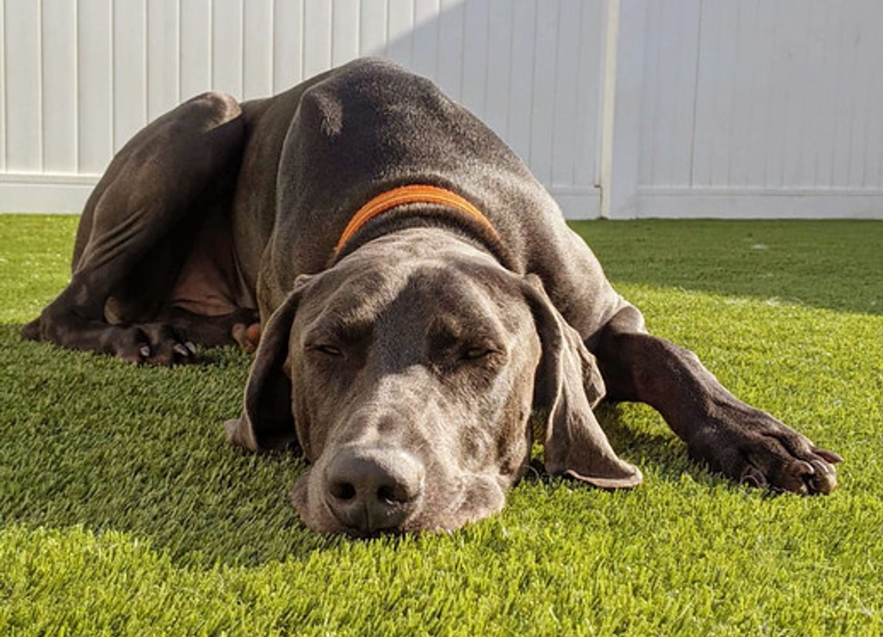 graphic of USA and canada showing their locations