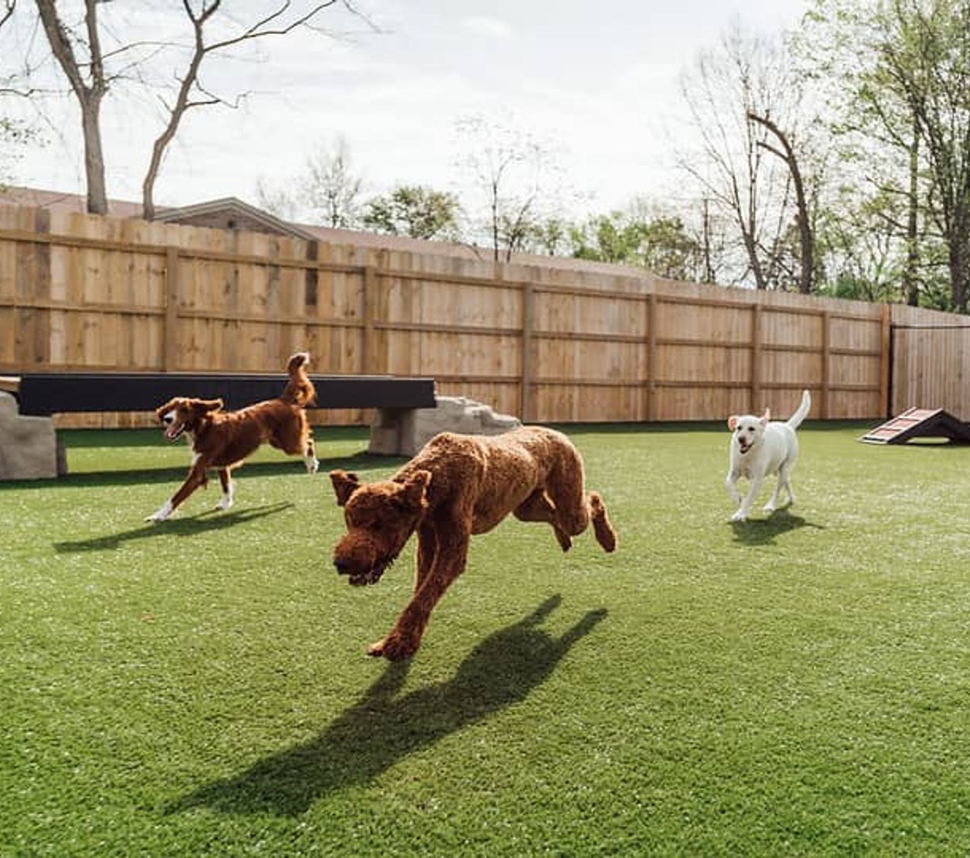 K9Grass residential and commercial installations