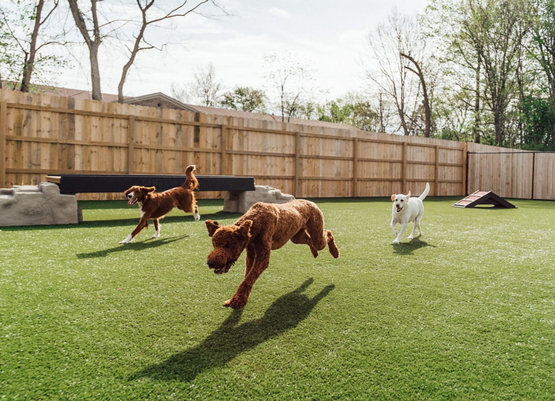 graphic of USA and canada showing their locations