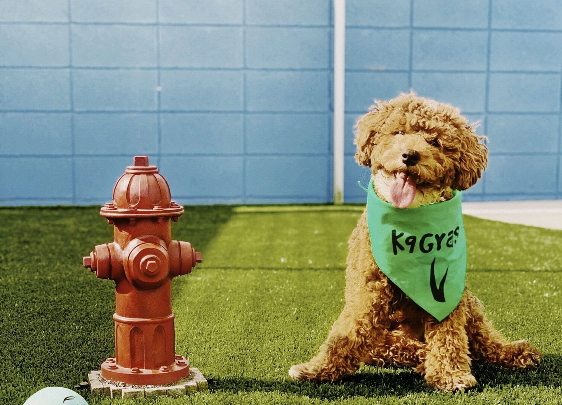 graphic of USA and canada showing their locations