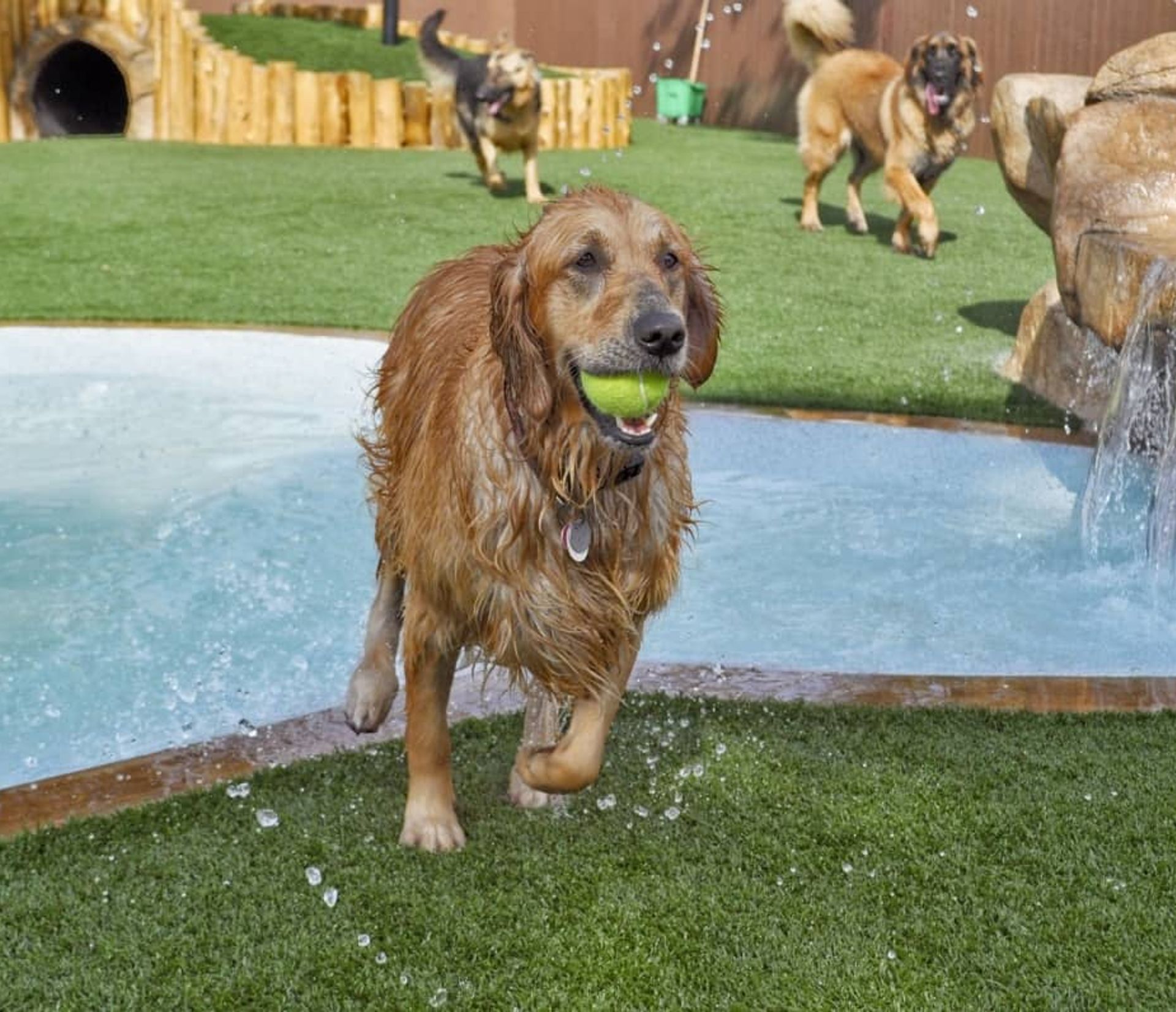 K9Grass pet turf installation