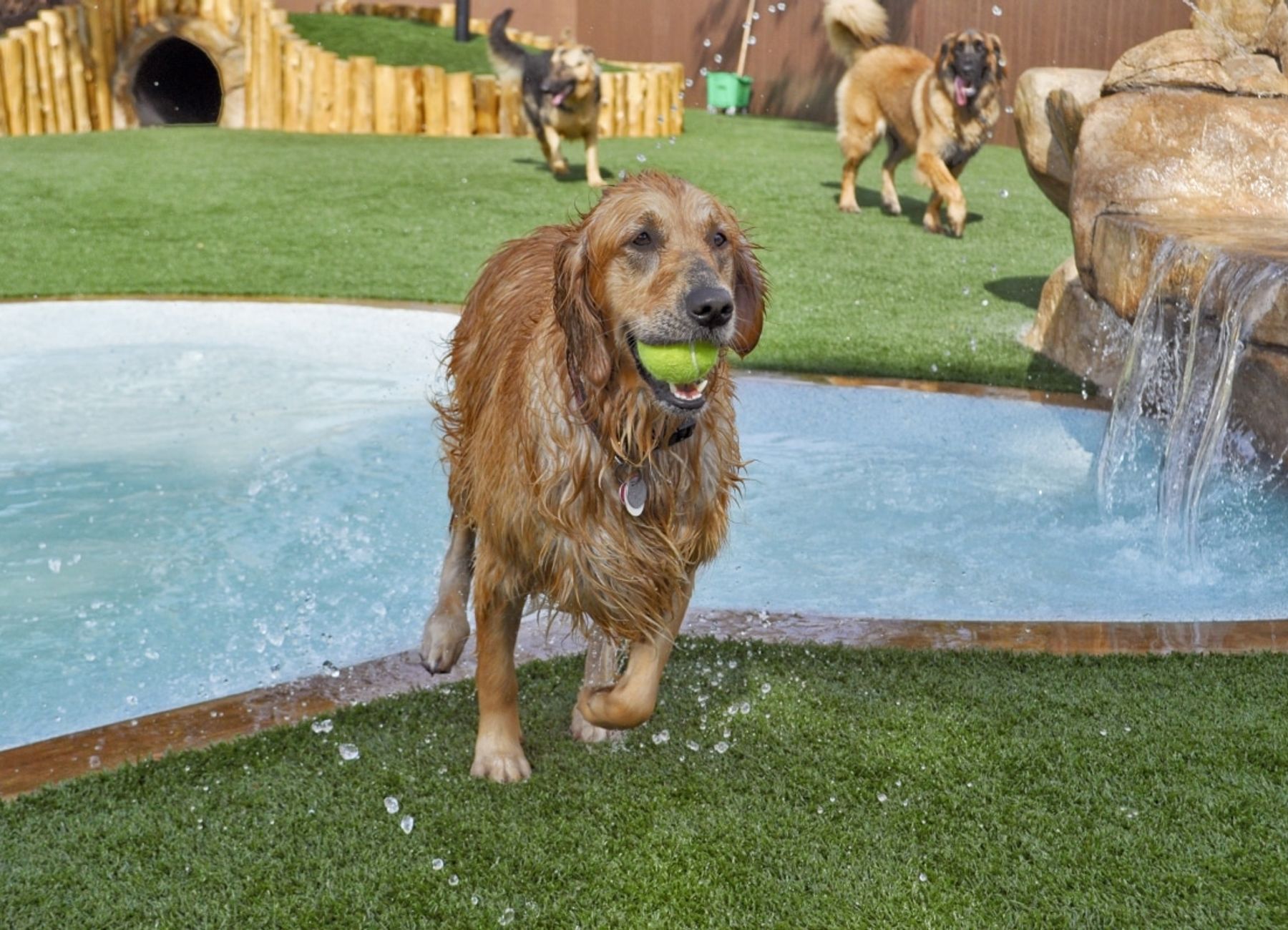graphic of USA and canada showing their locations