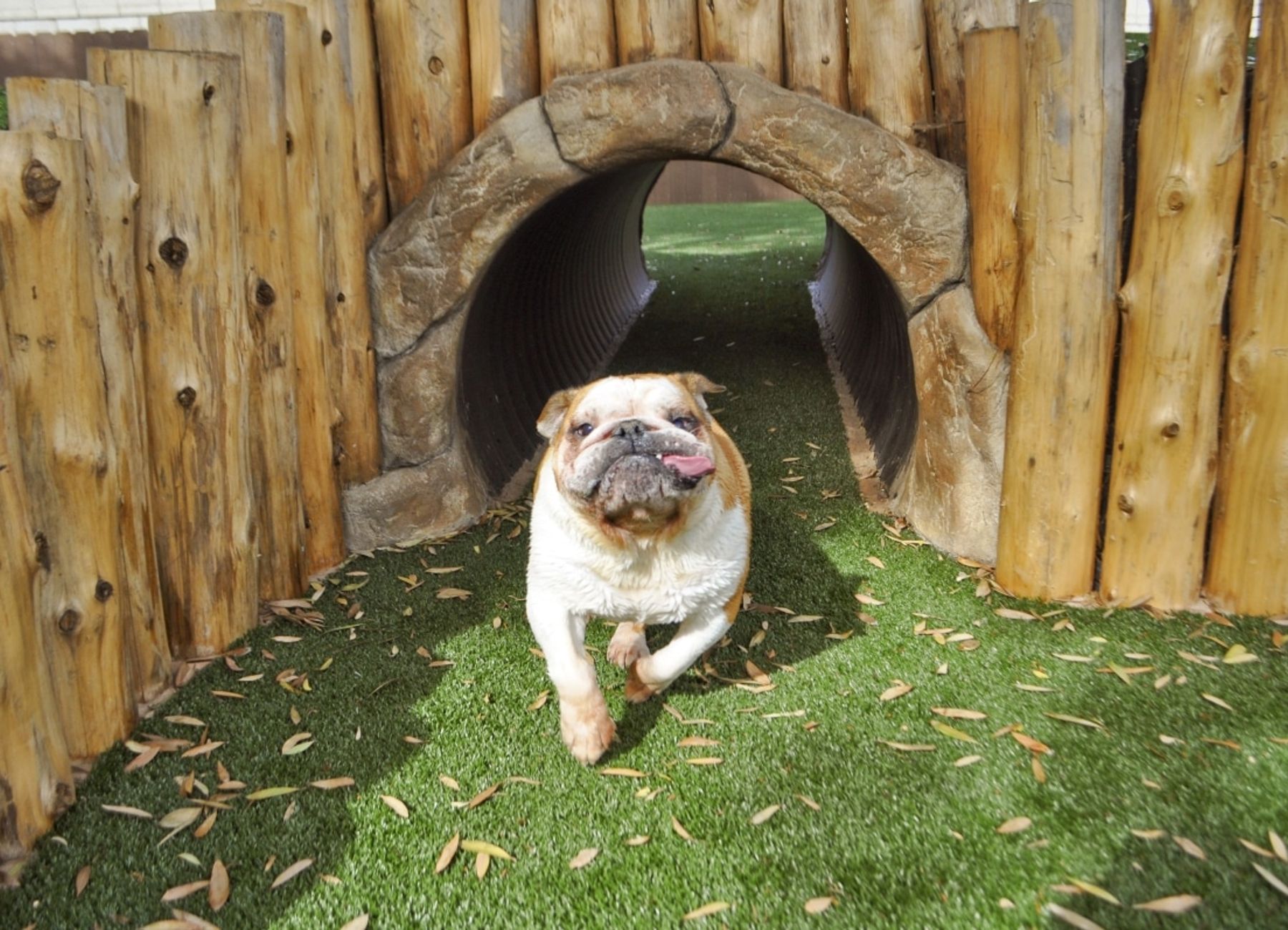 graphic of USA and canada showing their locations