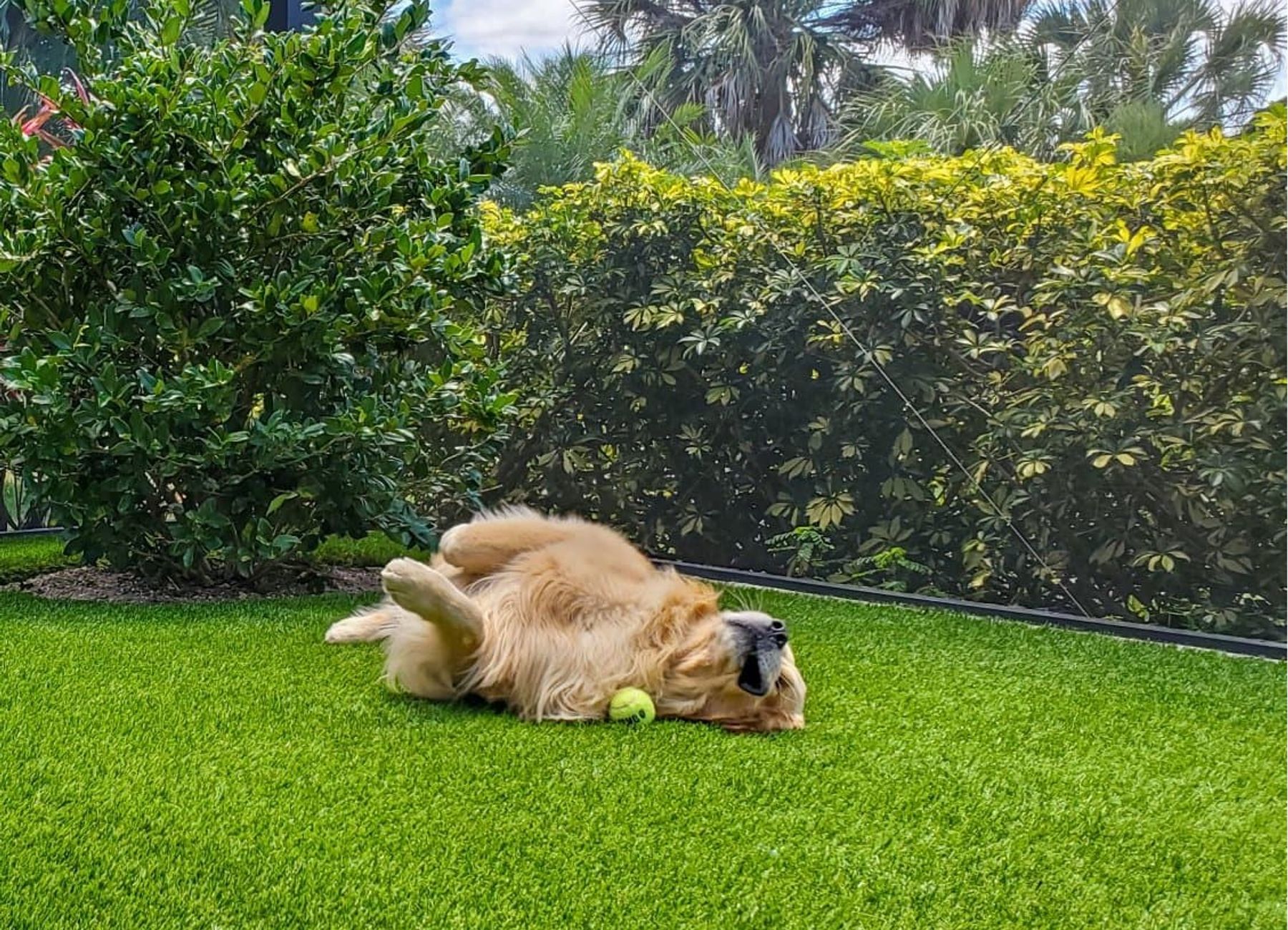 graphic of USA and canada showing their locations