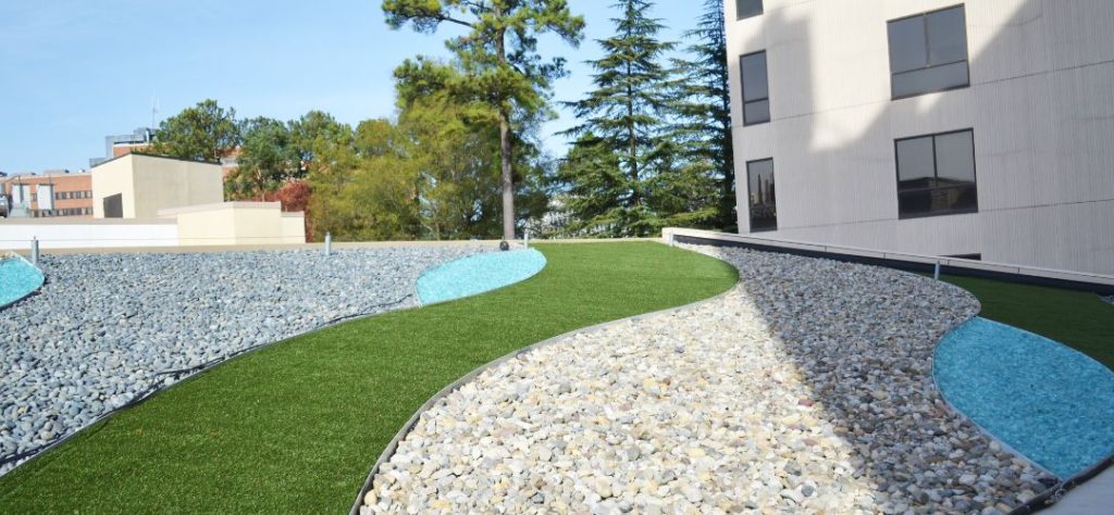 Artificial Grass For Office Buildings &Amp; Corporate Campuses