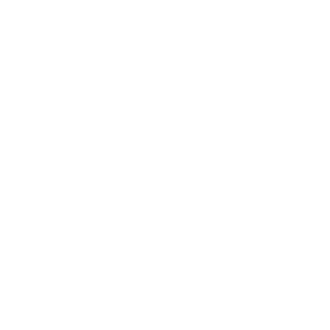 Customer Disney