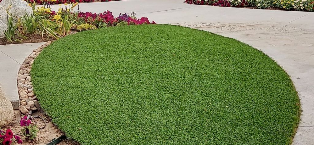 A small patch of artificial grass surrounded by flowers and walkways.